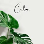 Simple Self-Care Tips for Busy People